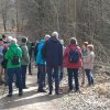 03 bei Waldhausen - Schättere-Trasse